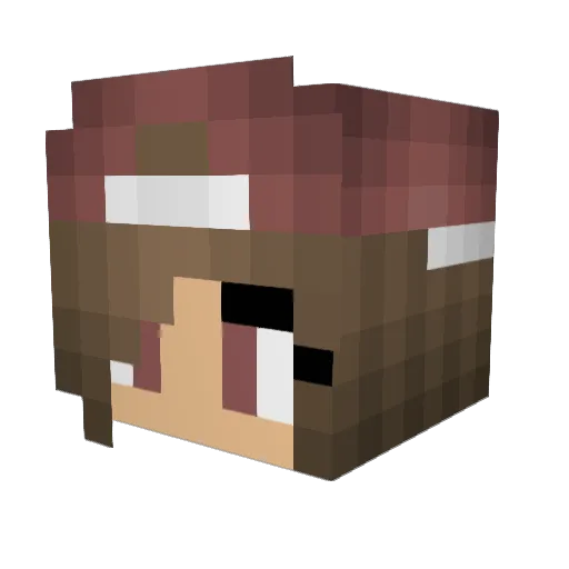 psewp Minecraft avatar head, 3D render