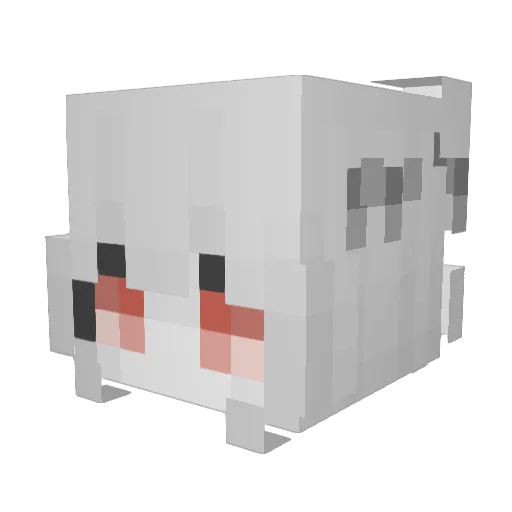 psgstpwallah Minecraft avatar head, 3D render