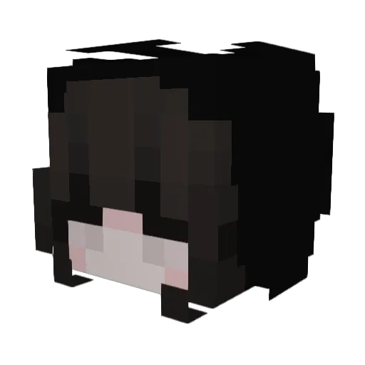 psh3255 Minecraft avatar head, 3D render