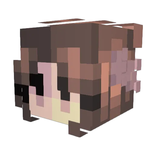 pshbun Minecraft avatar head, 3D render