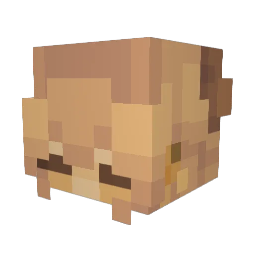 pshroom69 Minecraft avatar head, 3D render