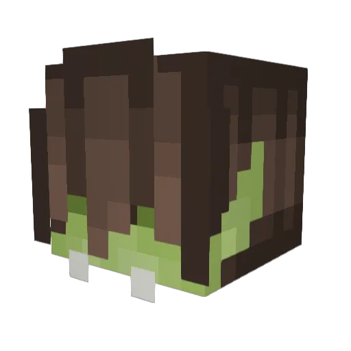 psithuridan Minecraft avatar head, 3D render