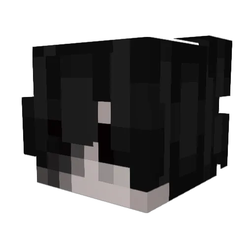 pslna Minecraft avatar head, 3D render