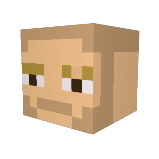 psulsefleuj Minecraft avatar head, 3D render