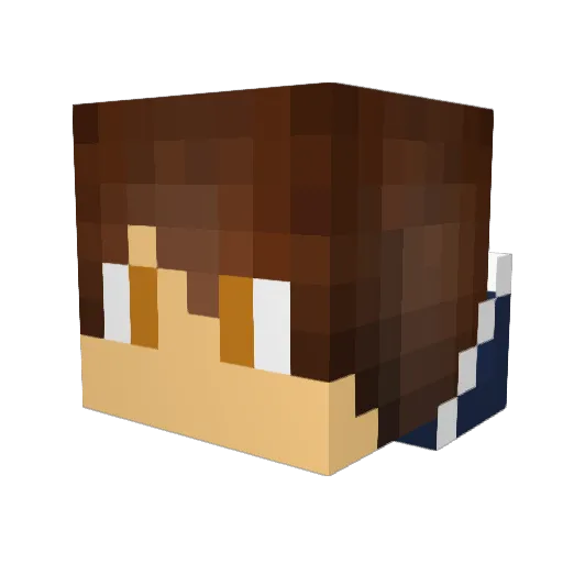 pswanberg1 Minecraft avatar head, 3D render