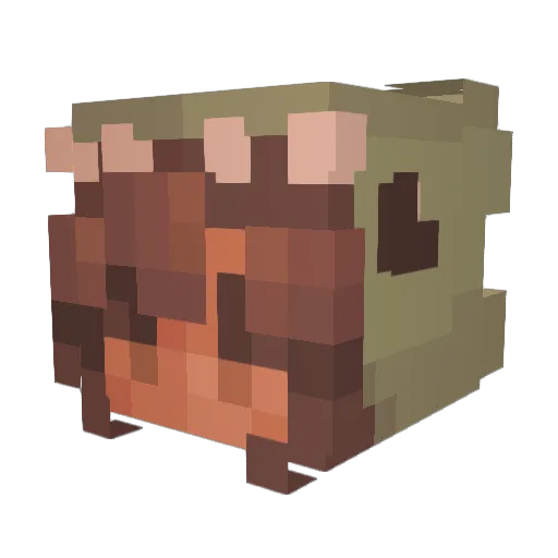 psychedelic_ex Minecraft avatar head, 3D render