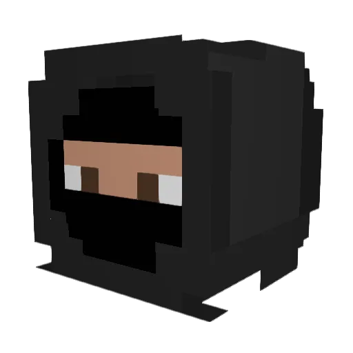 psychedelicshrom Minecraft avatar head, 3D render
