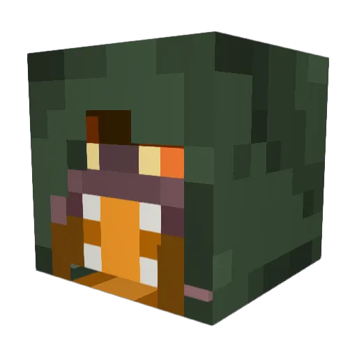 psychedelicsss Minecraft avatar head, 3D render