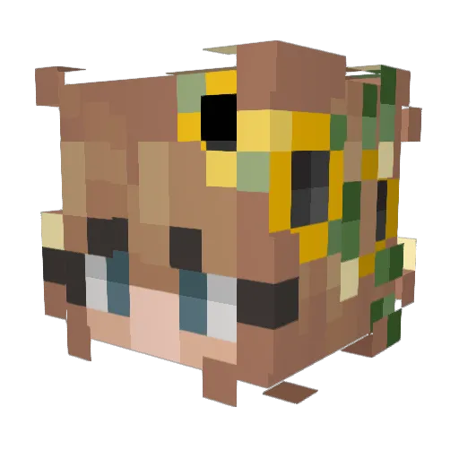 psychjay Minecraft avatar head, 3D render