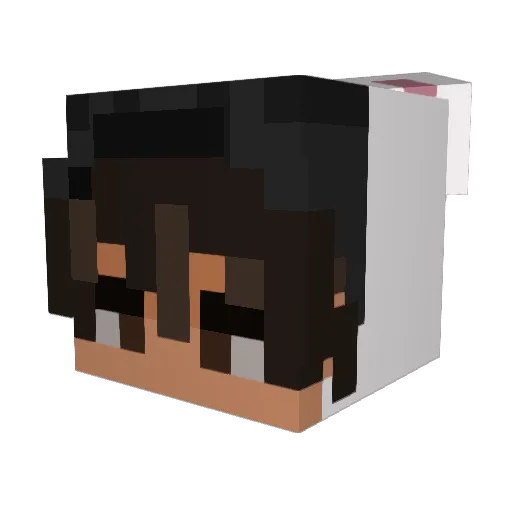 psycho_tix Minecraft avatar head, 3D render