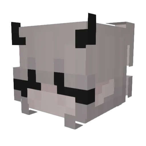psychoaspect1 Minecraft avatar head, 3D render
