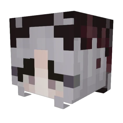 psychologisty Minecraft avatar head, 3D render