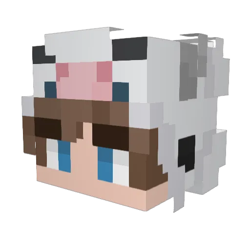 psychotoken Minecraft avatar head, 3D render