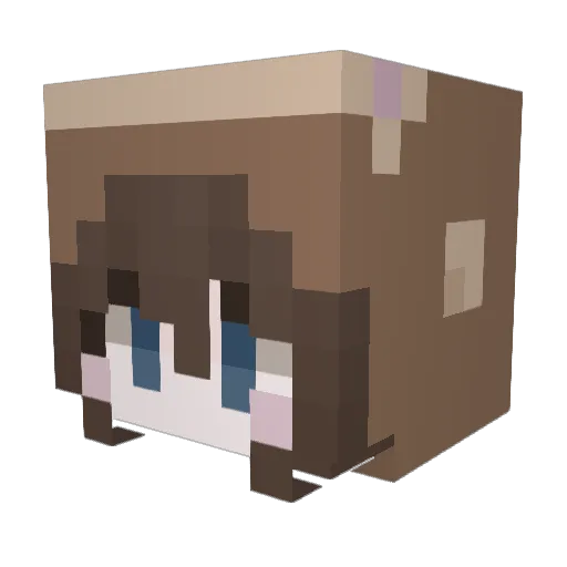 psychward Minecraft avatar head, 3D render
