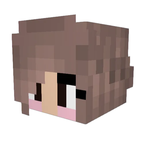 psyducking Minecraft avatar head, 3D render