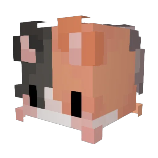 psykosiz Minecraft avatar head, 3D render