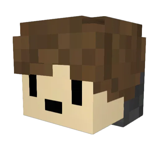 ptc0 Minecraft avatar head, 3D render