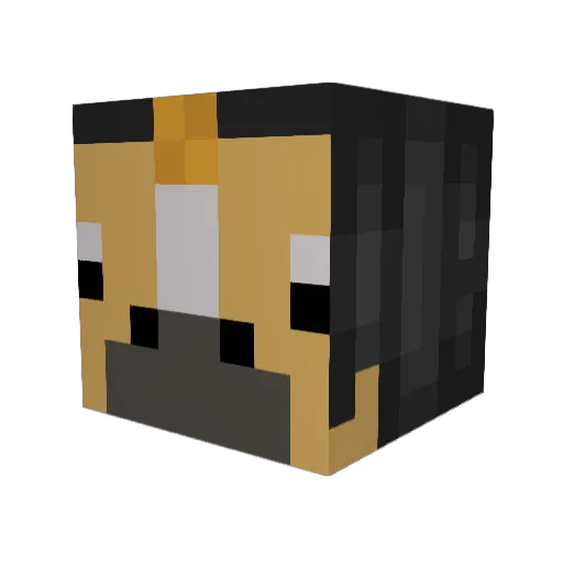 ptisdel Minecraft avatar head, 3D render