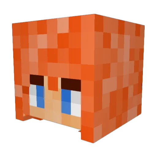 ptiterousse Minecraft avatar head, 3D render