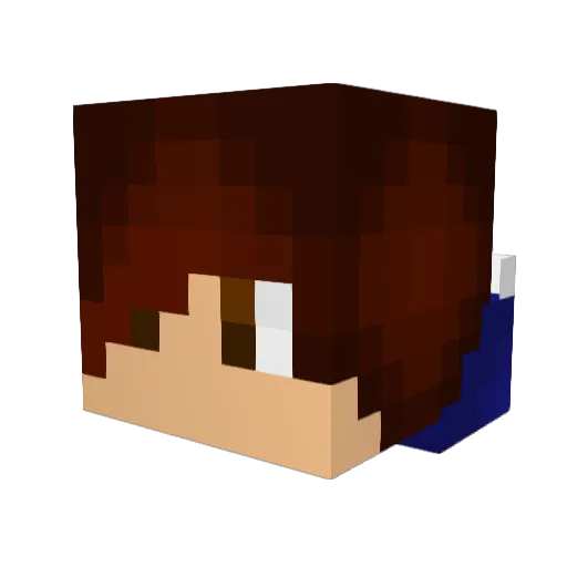 ptownboy3121 Minecraft avatar head, 3D render