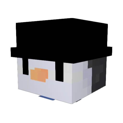 ptran42 Minecraft avatar head, 3D render