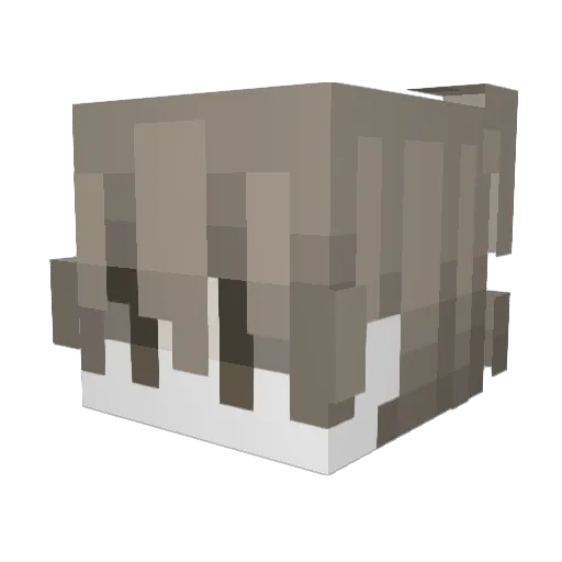 ptrff Minecraft avatar head, 3D render