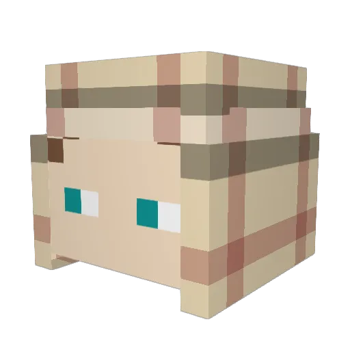 ptrikID Minecraft avatar head, 3D render