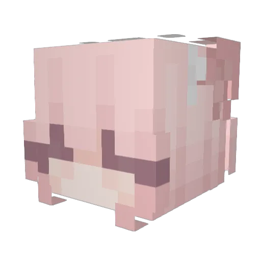 pu55ylicker Minecraft avatar head, 3D render