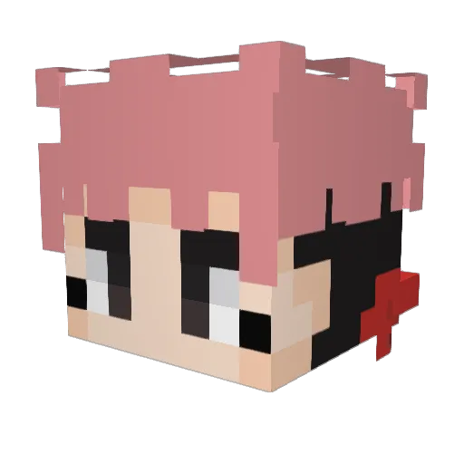 publecs Minecraft avatar head, 3D render