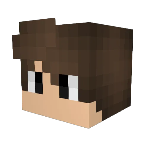 public_void Minecraft avatar head, 3D render