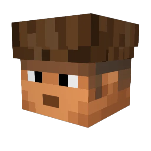 publicname4game Minecraft avatar head, 3D render