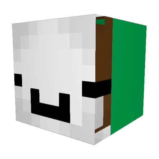 puchis25847 Minecraft avatar head, 3D render