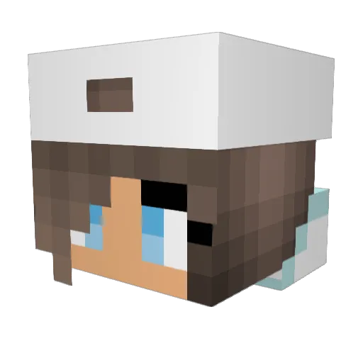 puck205 Minecraft avatar head, 3D render