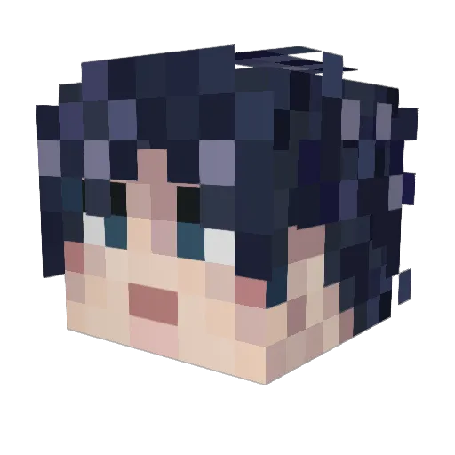 puck_1 Minecraft avatar head, 3D render
