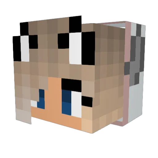 puddintader2 Minecraft avatar head, 3D render