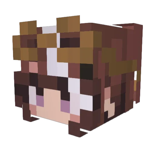 puddlee Minecraft avatar head, 3D render