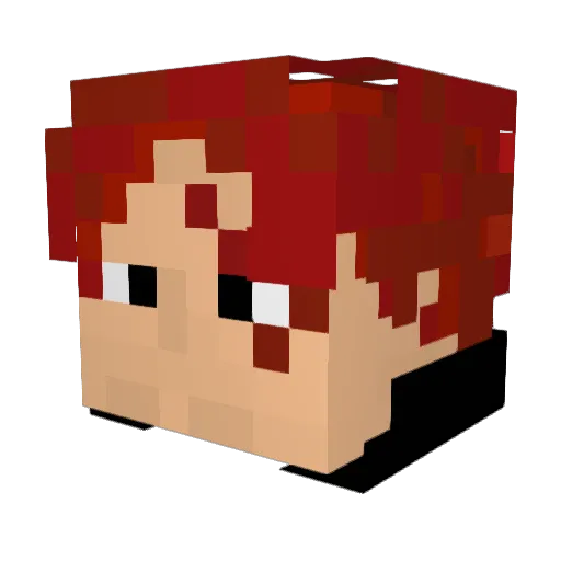 pudge2004 Minecraft avatar head, 3D render