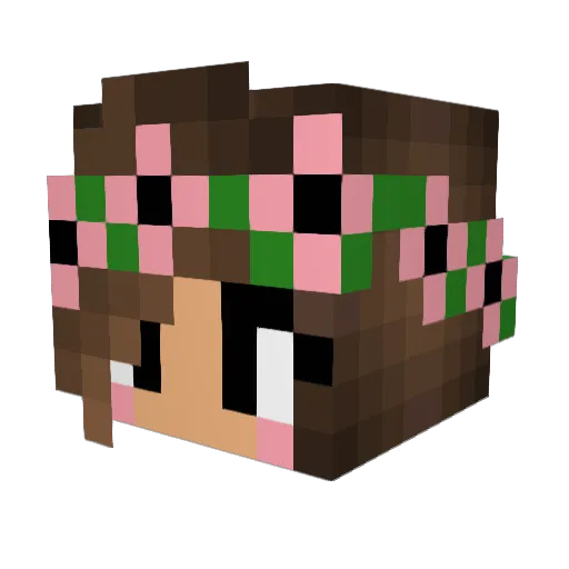 pudgywalrus Minecraft avatar head, 3D render