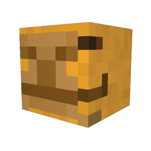 puffer_fish79 Minecraft avatar head, 3D render
