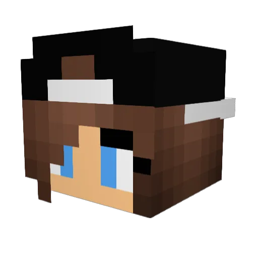 puffitastisch Minecraft avatar head, 3D render