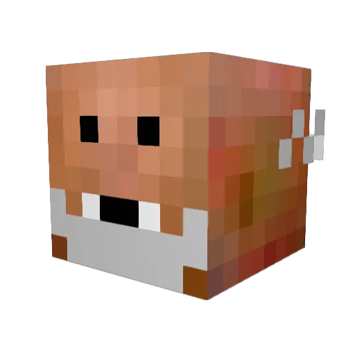 puffpuffpass420 Minecraft avatar head, 3D render