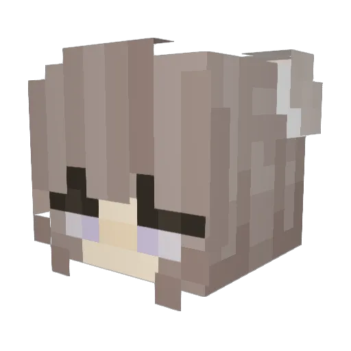 pugdogs Minecraft avatar head, 3D render