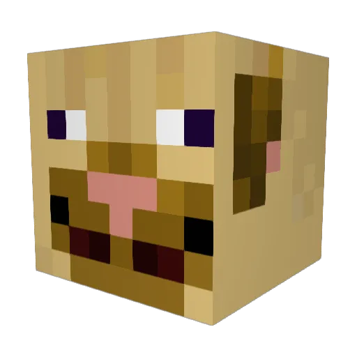 puggle Minecraft avatar head, 3D render