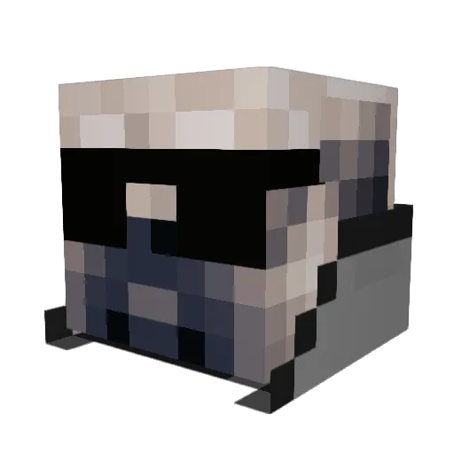 puglover99 Minecraft avatar head, 3D render