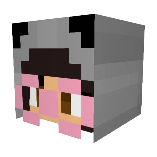 pugsheen26 Minecraft avatar head, 3D render