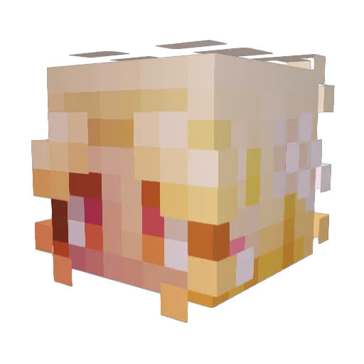pugwoof Minecraft avatar head, 3D render