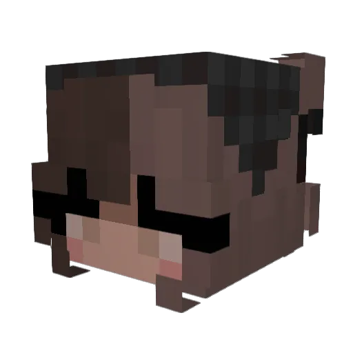 puhnibbler92 Minecraft avatar head, 3D render