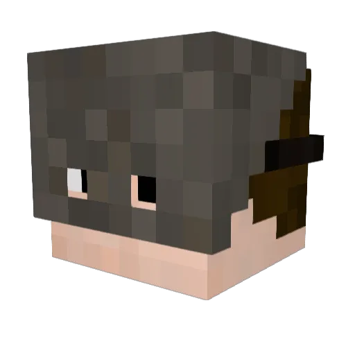 puhskinti Minecraft avatar head, 3D render