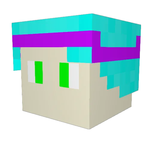 pukeyq Minecraft avatar head, 3D render