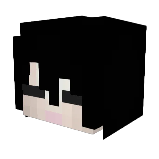puldpig2 Minecraft avatar head, 3D render